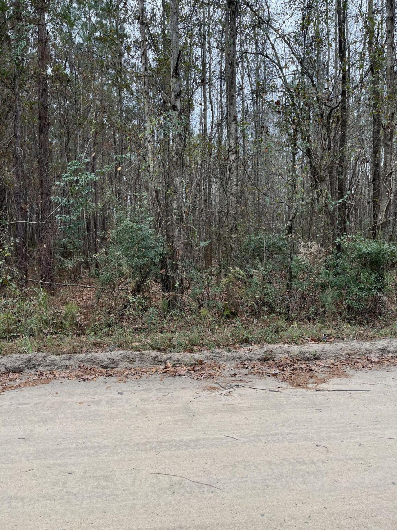 00 Ryn Street Photo 8