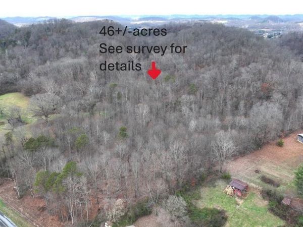 Tbd Lloyd's Chapel Road, Mount Carmel, TN 37645