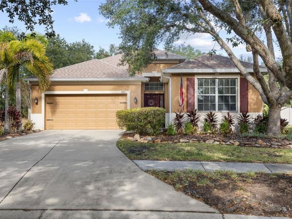 17425 NEW CROSS CIRCLE, LITHIA, FL 33547