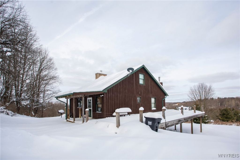 8397 Rohr Hill Road, East Otto, NY 14729 Main Photo