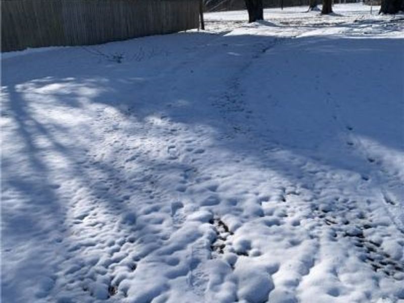 Howard Street, Hanoverton, OH 44423 Photo 16