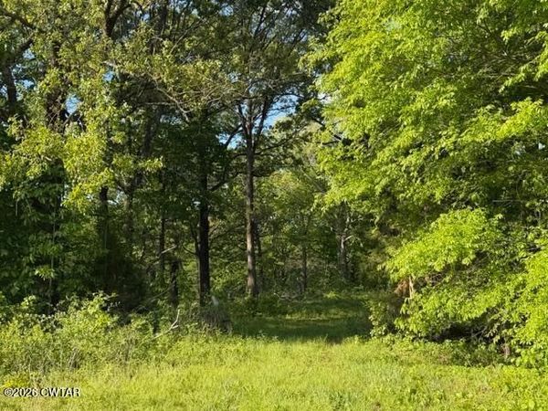0 McBride Cemetery Road, Sardis, TN 38371