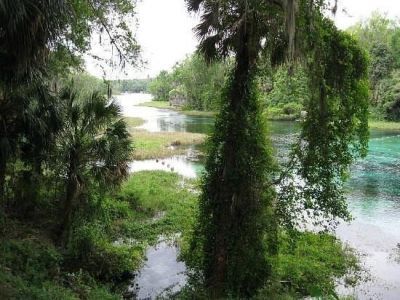 Lot1 SW Lot1 158th Court, Ocala, FL 34481 Photo