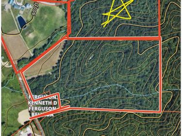 4445-3 Pine Grove Road, Means, KY 40346