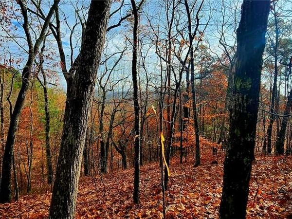 561 Parable Court , Ranger, GA 30734