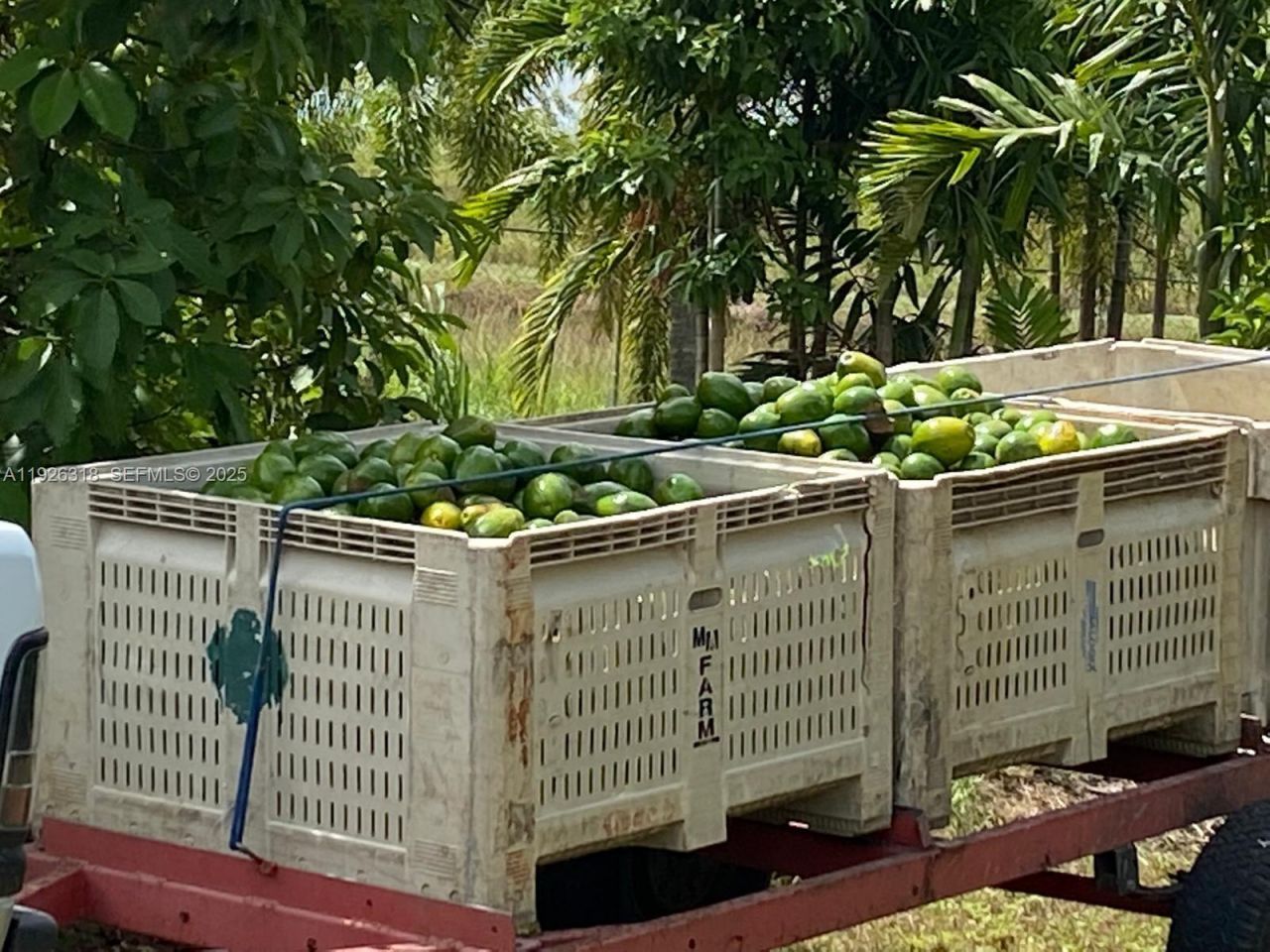 20401 SW 184th St, Miami, FL 33187 Photo