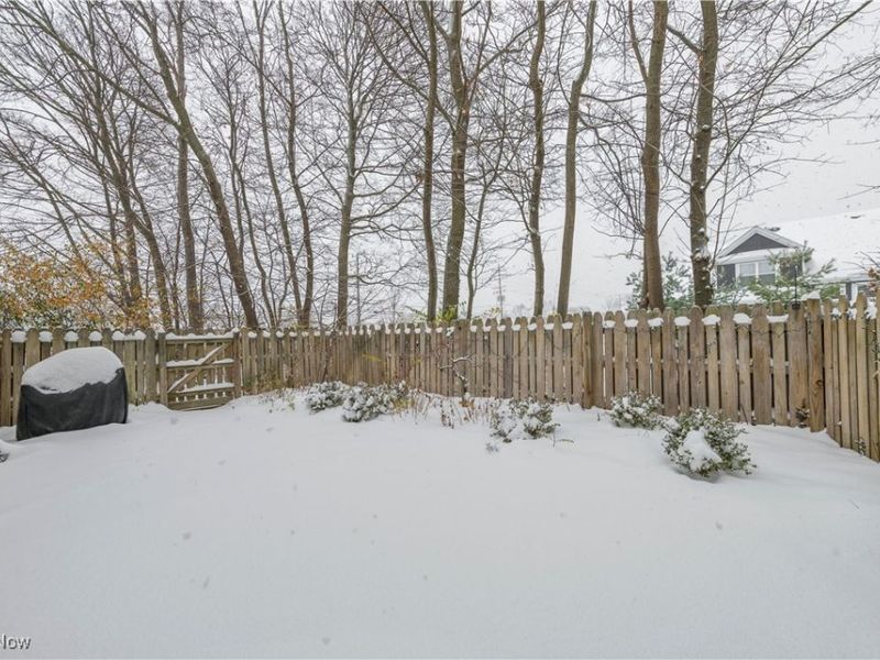 23203 Center Ridge Road, Unit 1, Westlake, OH 44145 Photo 29