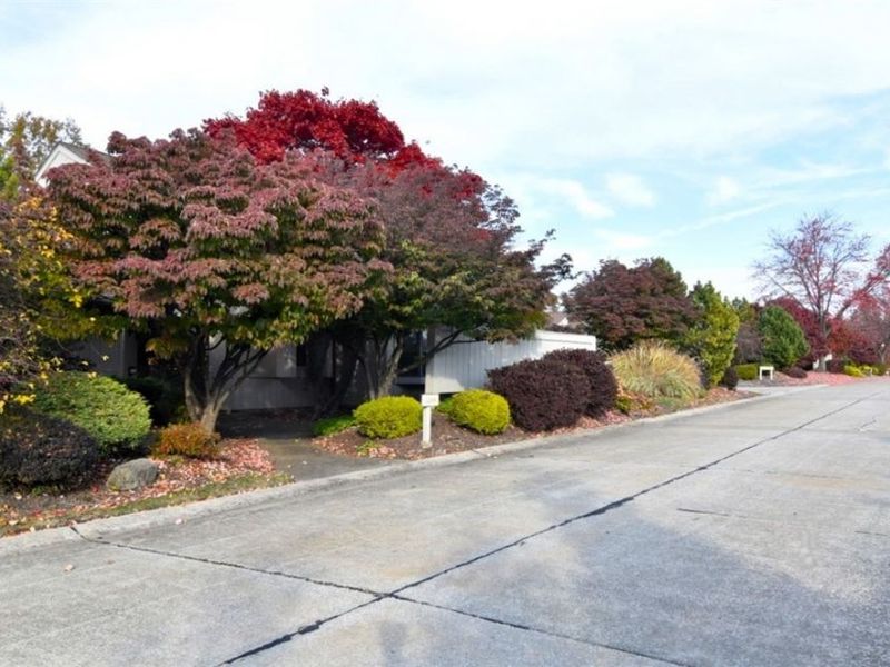 3280 Richmond Road, Beachwood, OH 44122 Photo 1