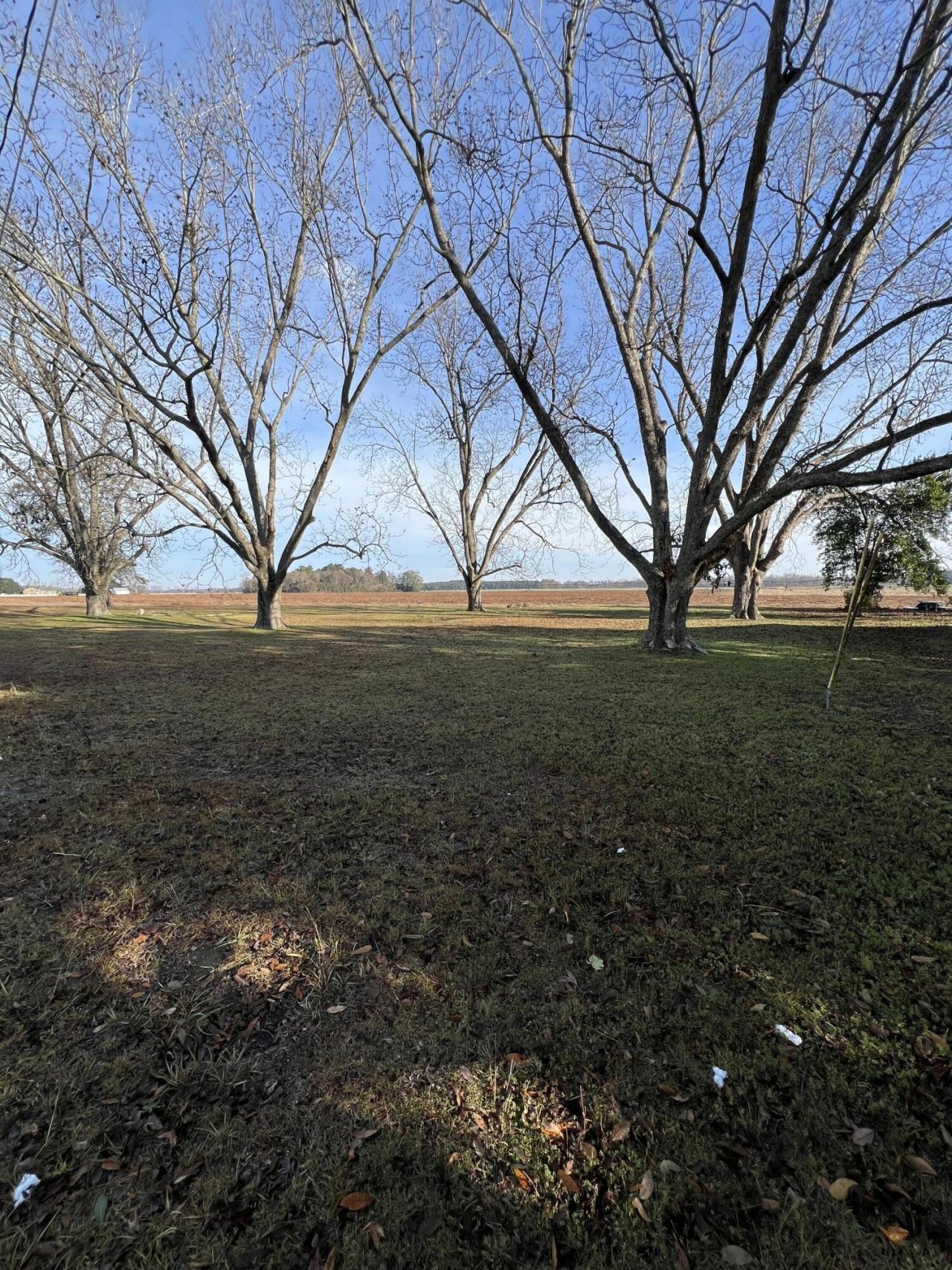 00 Old Hwy 6 Photo 4