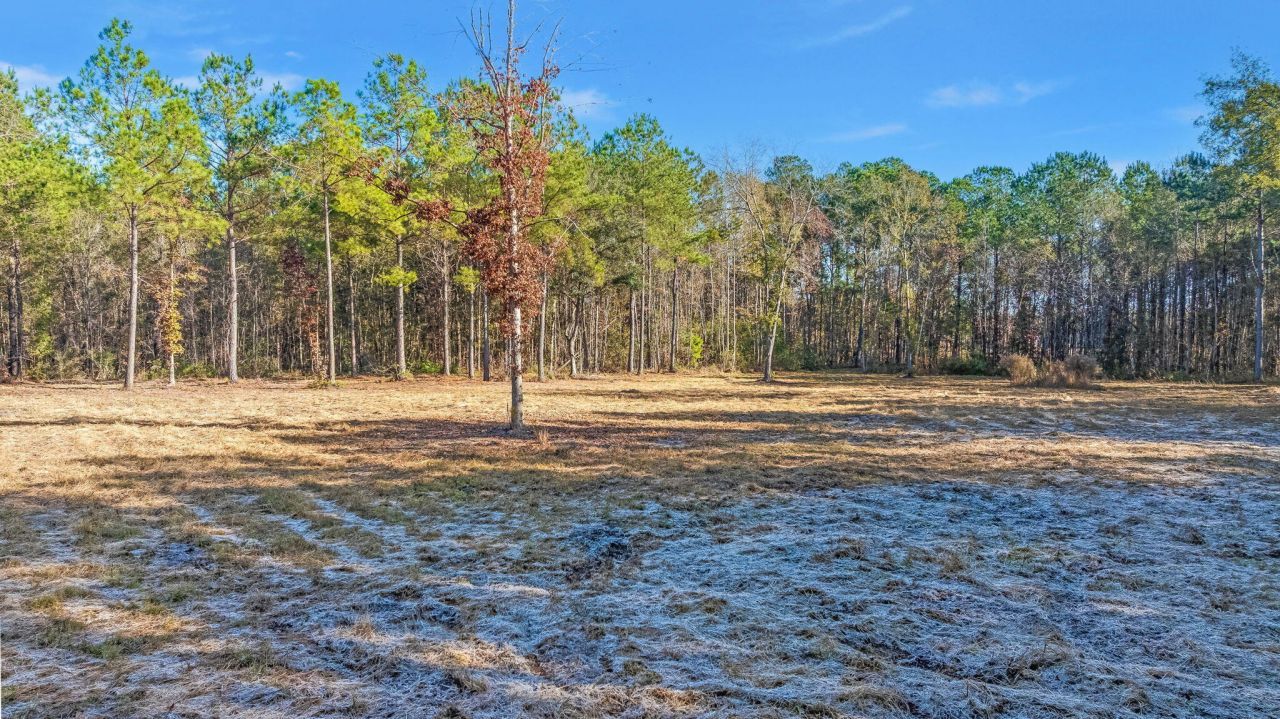 0 Old Beech Hill Road Photo 5