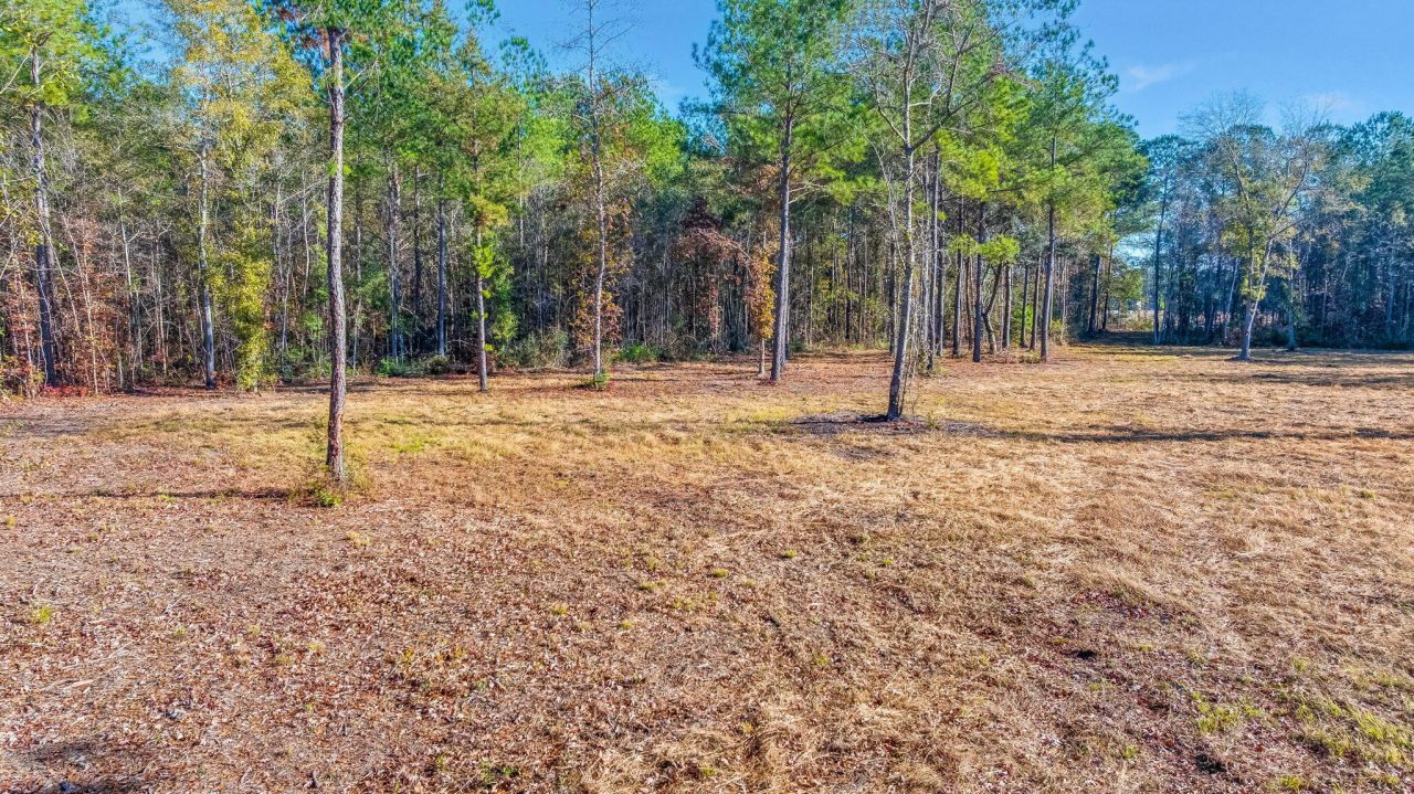 0 Old Beech Hill Road Photo 7