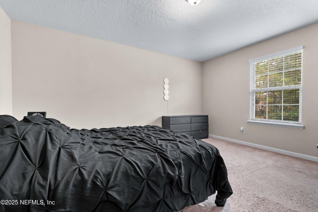 15815 Douglas Lake Drive, Jacksonville, FL 32218 Photo