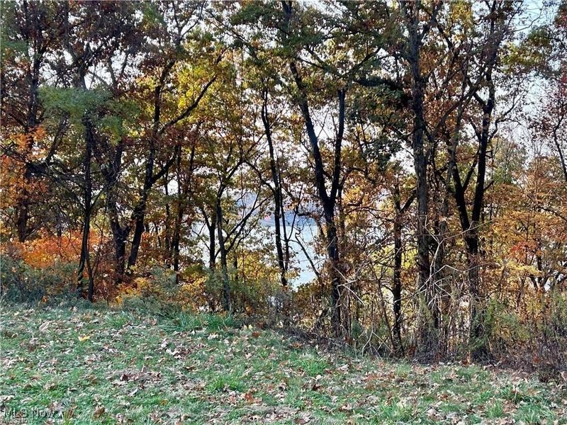 Oneida Trail, Malvern, OH 44644 Photo 3