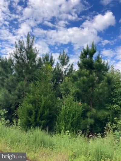 Kelly Road, Kinsale, VA 22488 Main Photo