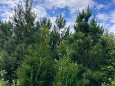 KELLY ROAD, KINSALE, VA 22488