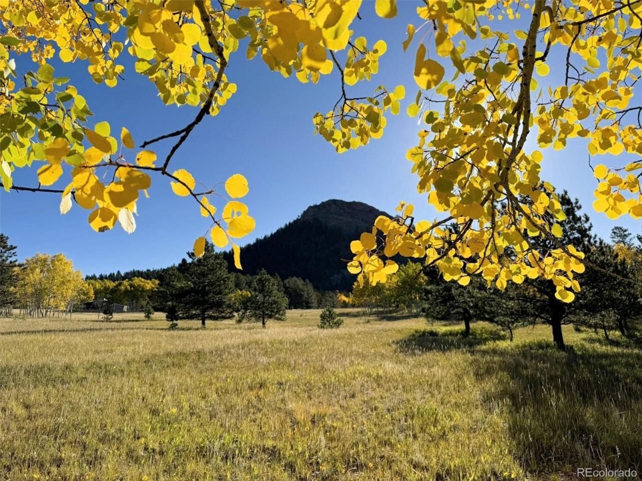 1965 Vagabond Creek Drive, Lake George, CO 80827 Main Photo