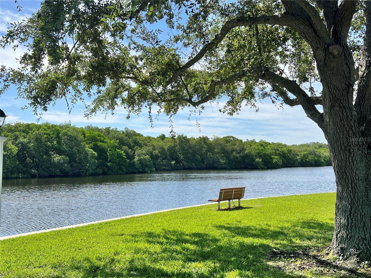 7107 Mount Essex Drive Ne, Unit 520, Saint Petersburg, FL 33702 Photo