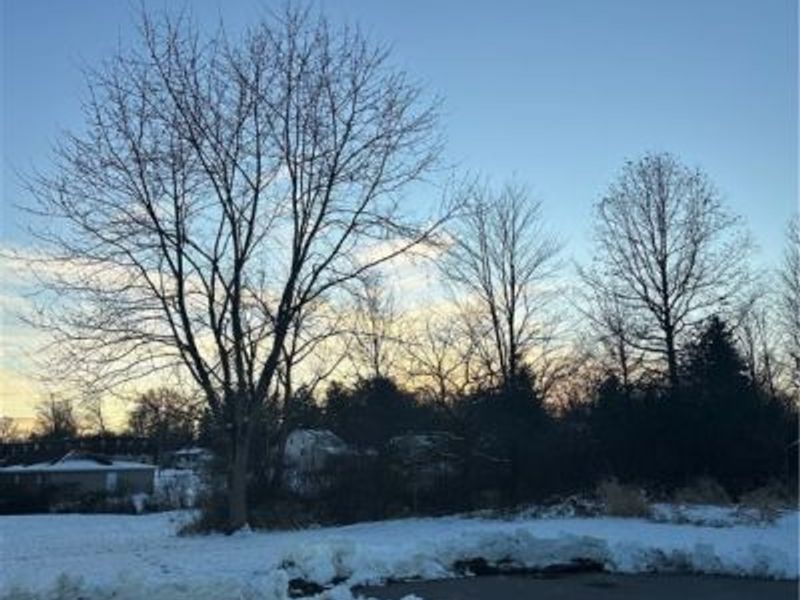 Collingwood Place, Austintown, OH 44515 Photo 2