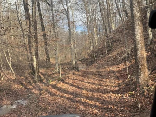 Mt Olive Rd Rd, Andersonville, TN 37705