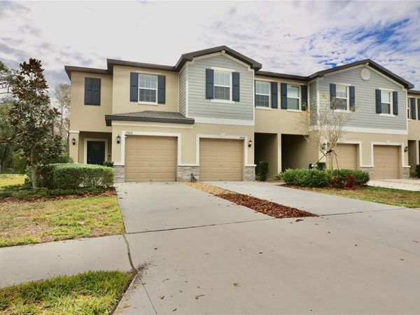 17620 NECTAR FLUME DRIVE, LAND O LAKES, FL 34638