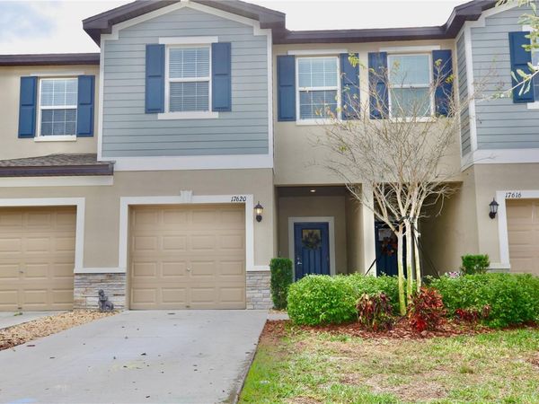 17620 NECTAR FLUME DRIVE, LAND O LAKES, FL 34638