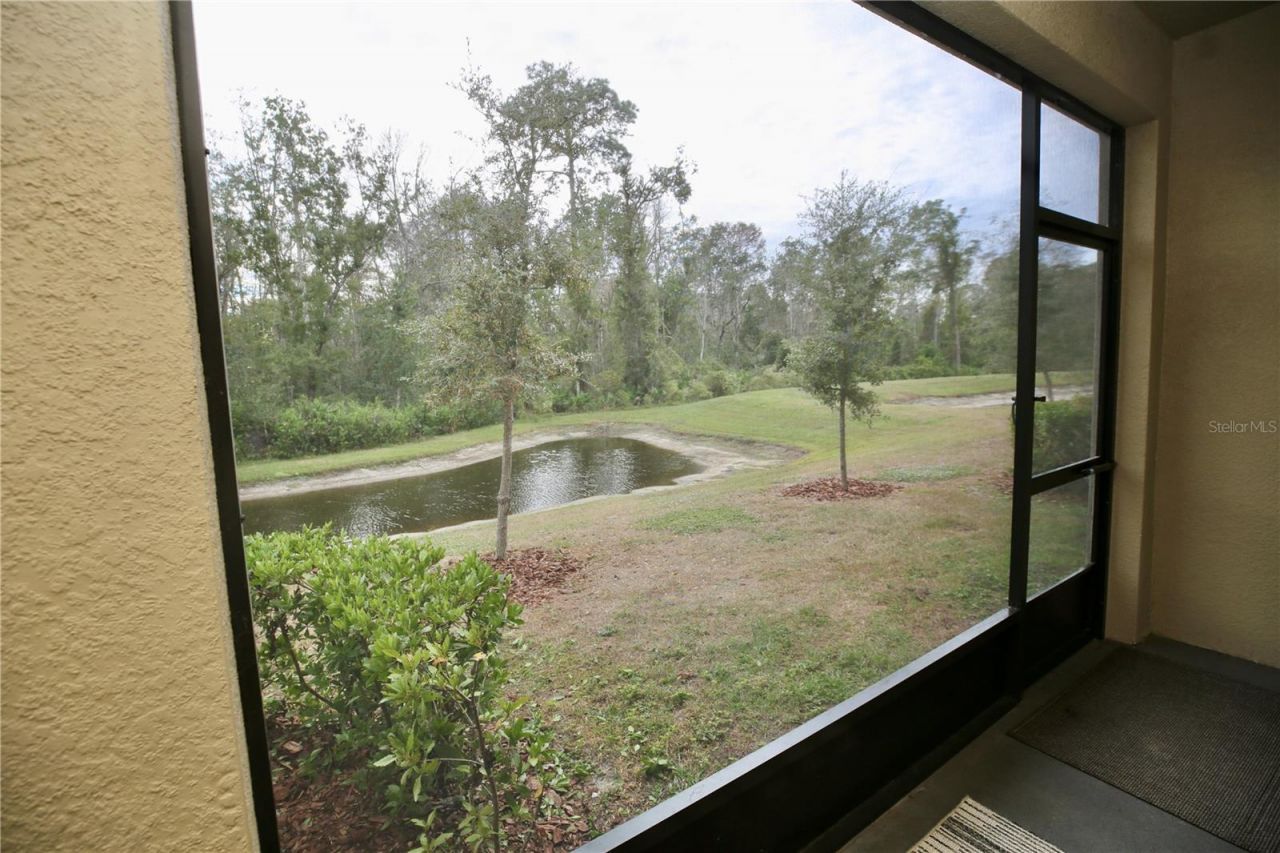 17620 Nectar Flume Drive, Land O Lakes, FL 34638 Photo