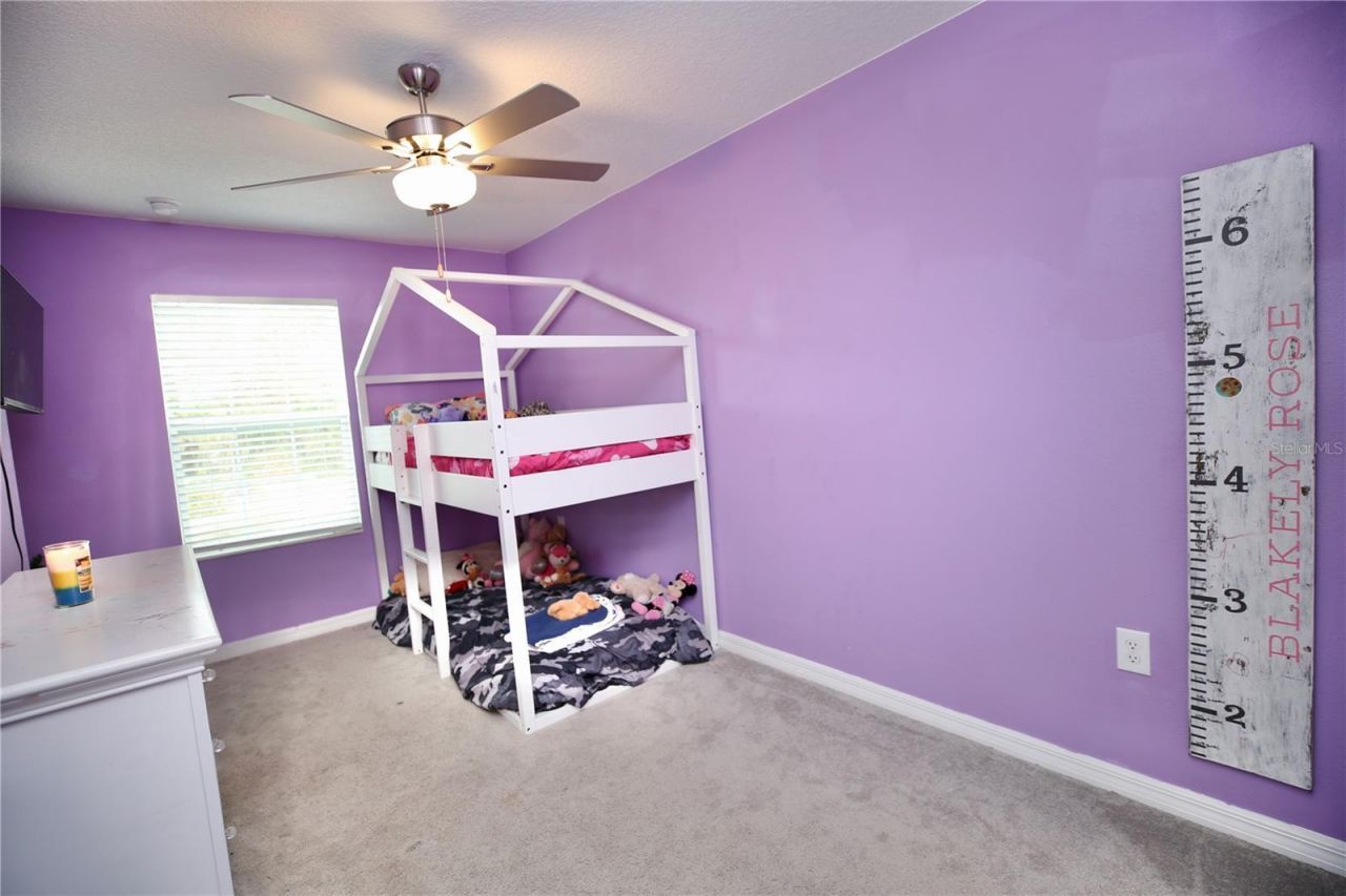 17620 Nectar Flume Drive, Land O Lakes, FL 34638 Photo