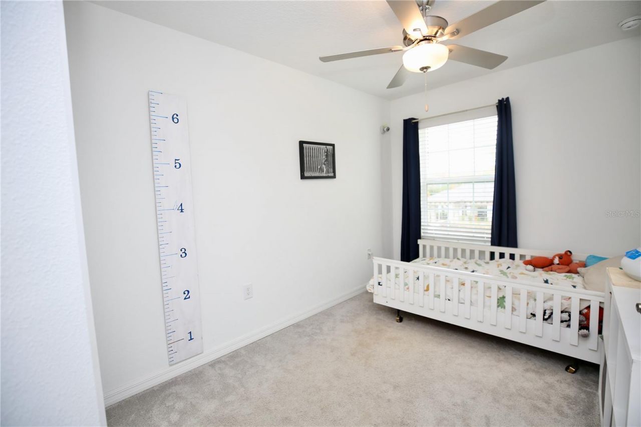 17620 Nectar Flume Drive, Land O Lakes, FL 34638 Photo