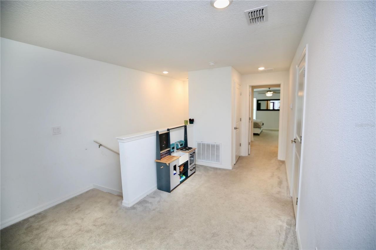 17620 Nectar Flume Drive, Land O Lakes, FL 34638 Photo