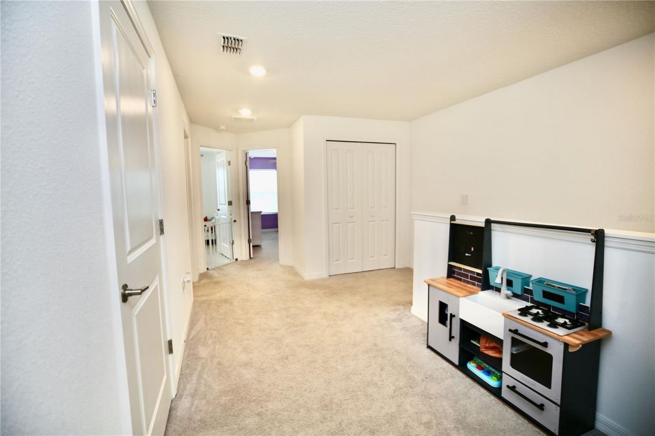 17620 Nectar Flume Drive, Land O Lakes, FL 34638 Photo