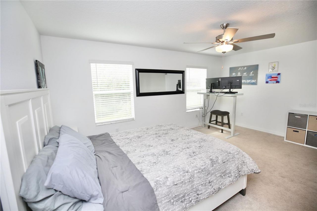 17620 Nectar Flume Drive, Land O Lakes, FL 34638 Photo