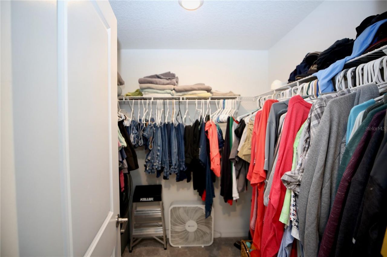 17620 Nectar Flume Drive, Land O Lakes, FL 34638 Photo