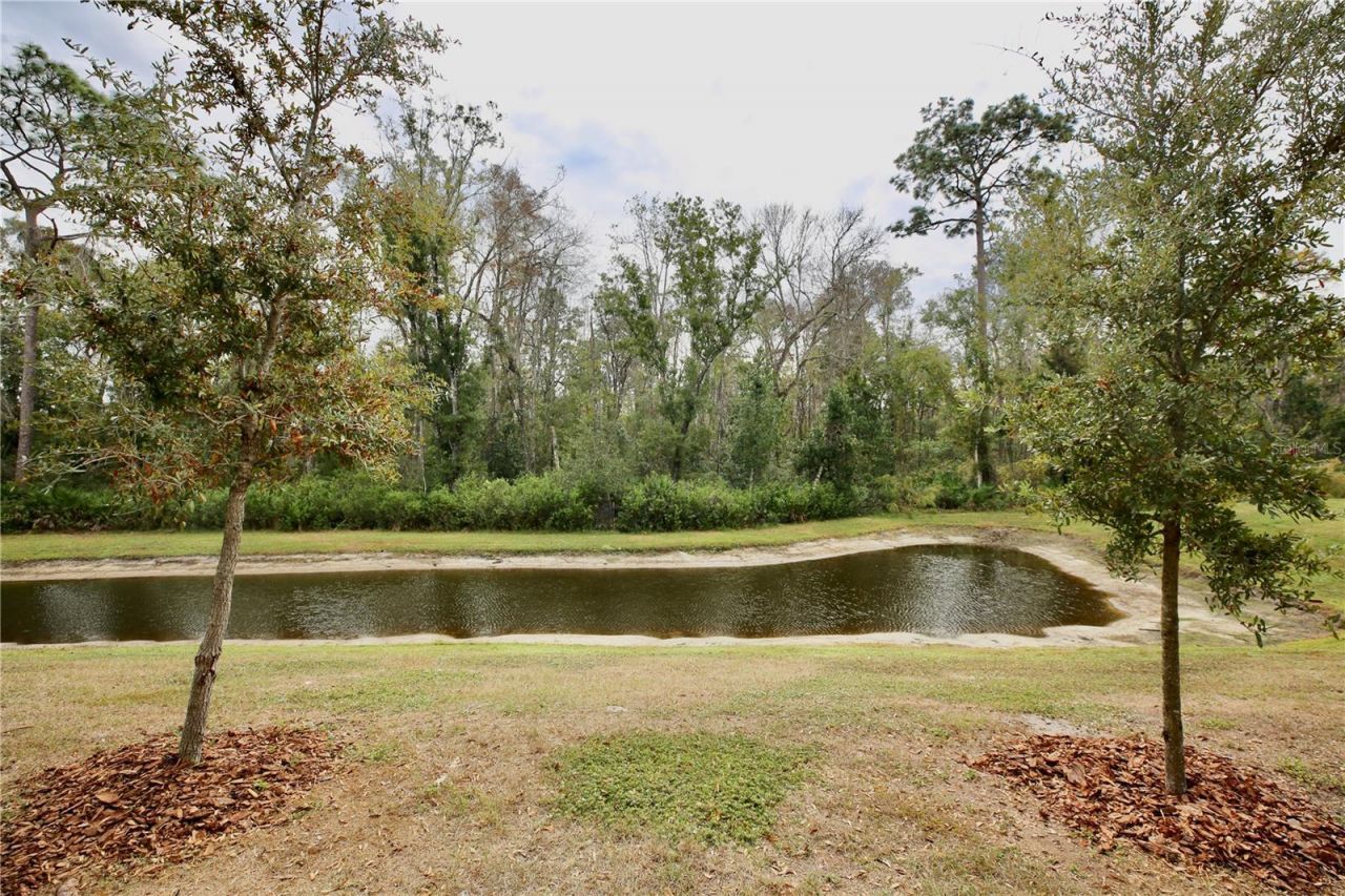 17620 Nectar Flume Drive, Land O Lakes, FL 34638 Photo