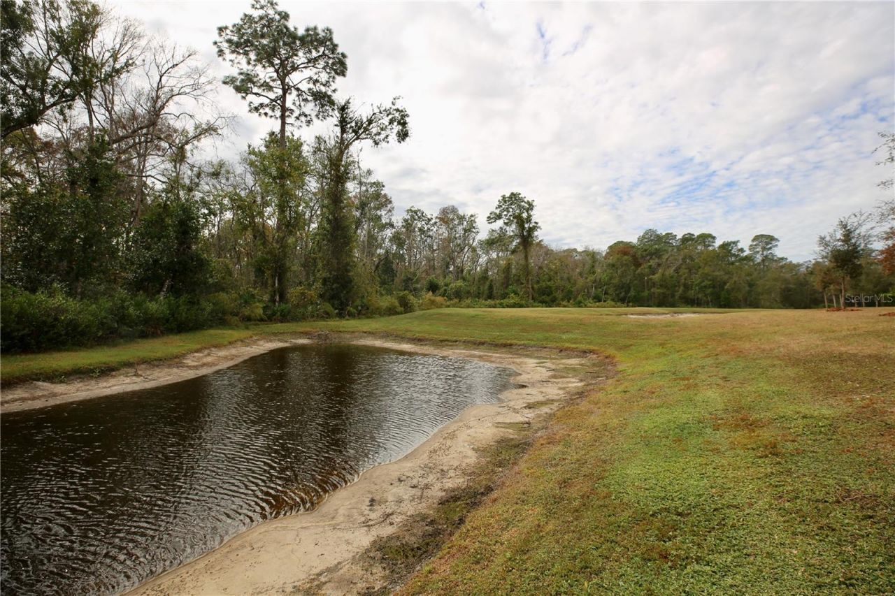 17620 Nectar Flume Drive, Land O Lakes, FL 34638 Photo