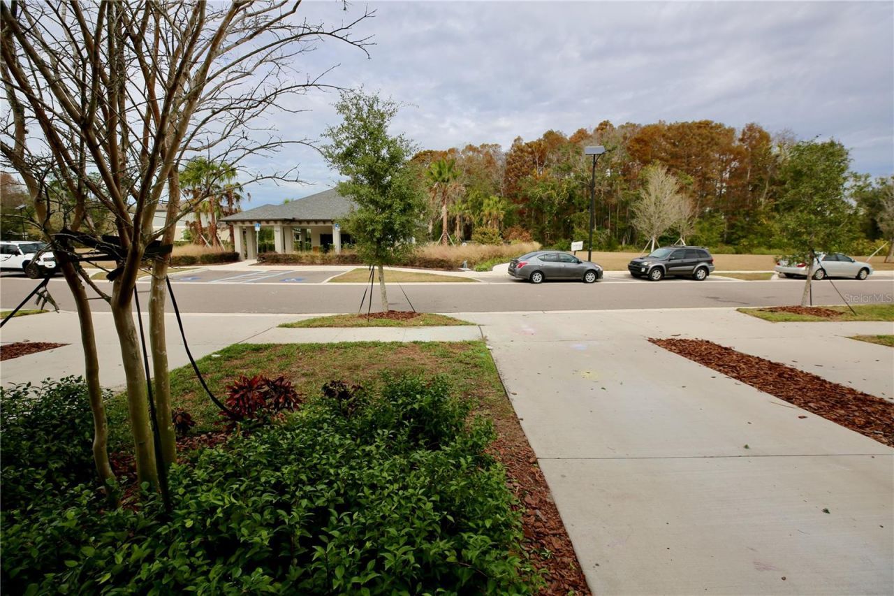17620 Nectar Flume Drive, Land O Lakes, FL 34638 Photo