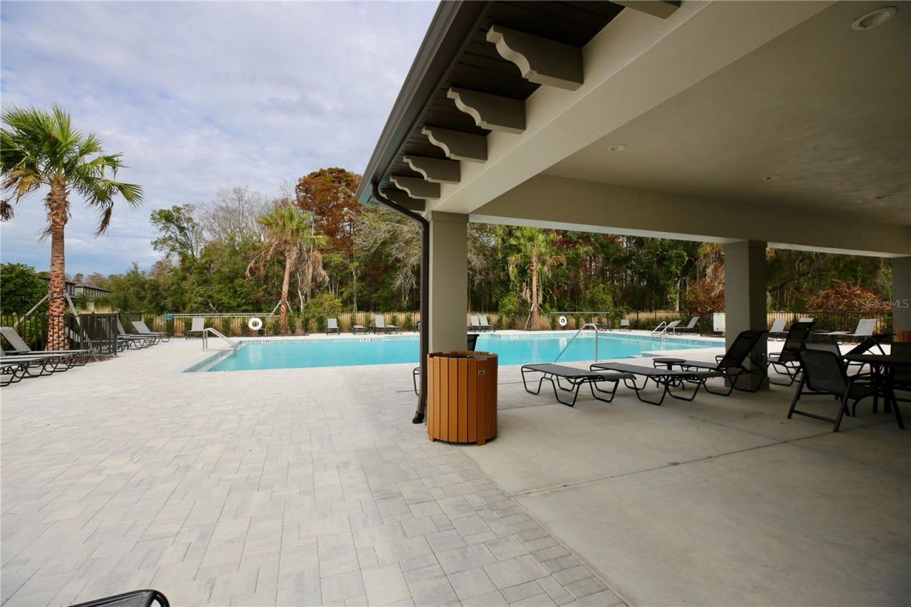17620 Nectar Flume Drive, Land O Lakes, FL 34638 Photo