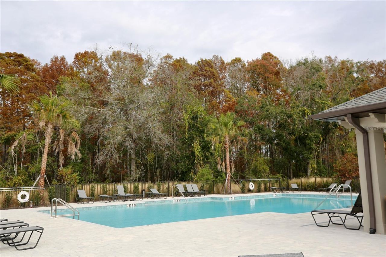 17620 Nectar Flume Drive, Land O Lakes, FL 34638 Photo