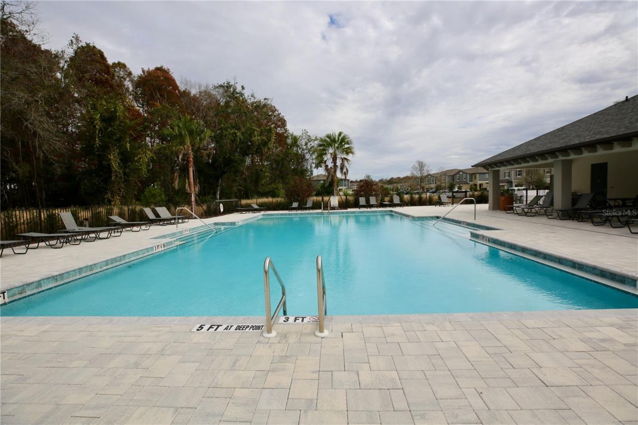 17620 Nectar Flume Drive, Land O Lakes, FL 34638 Photo