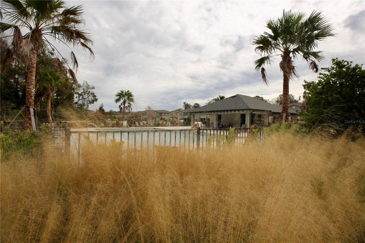 17620 Nectar Flume Drive, Land O Lakes, FL 34638 Photo