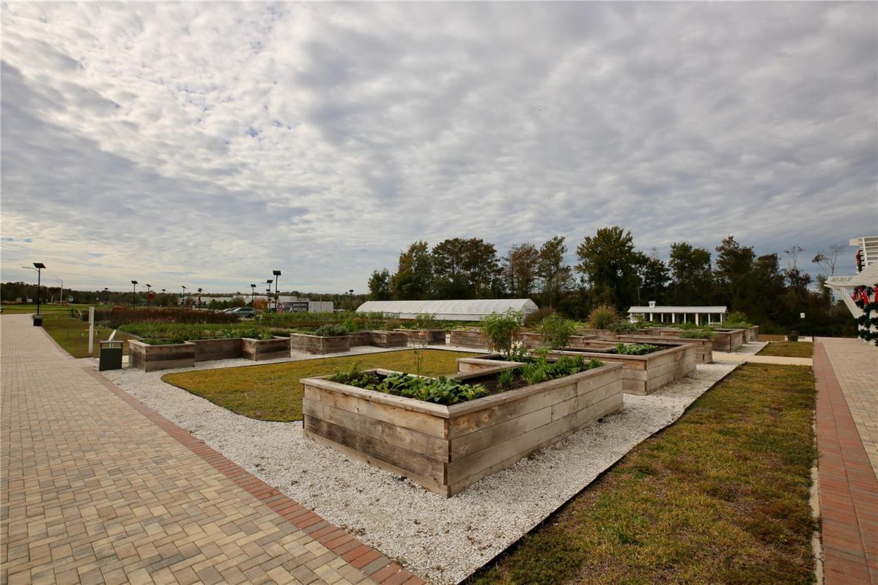 17620 Nectar Flume Drive, Land O Lakes, FL 34638 Photo