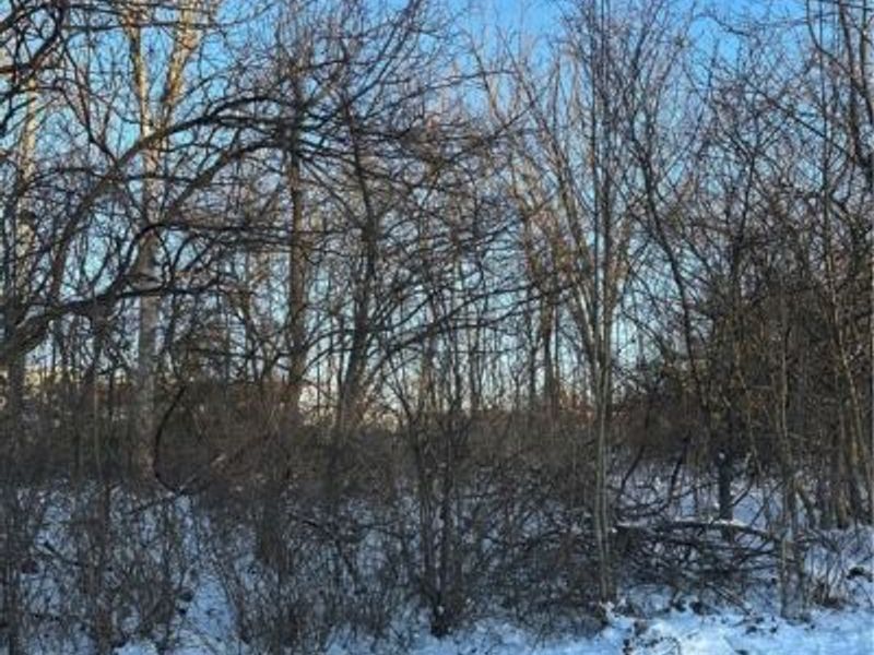 N Navarre Avenue, Austintown, OH 44515 Photo 2