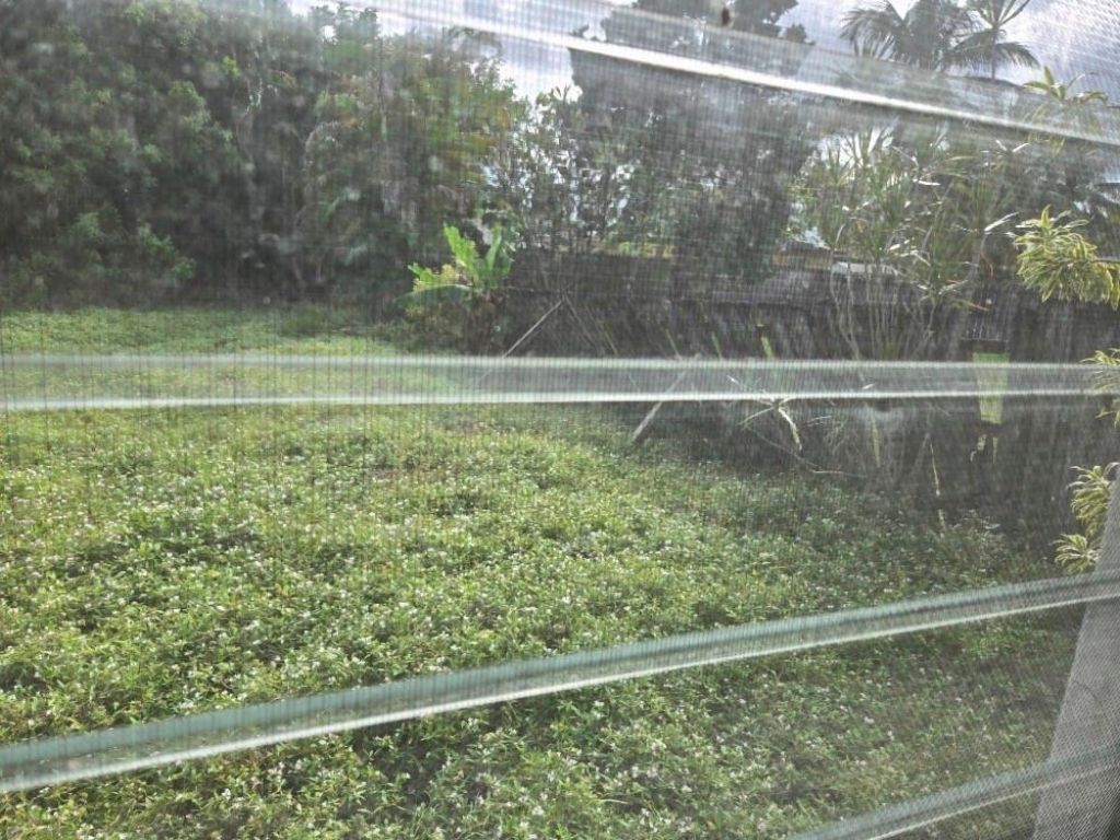 2702 Hayes Street, Hollywood, FL 33020 Photo