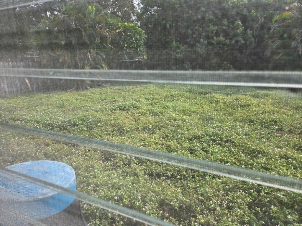 2702 Hayes Street, Hollywood, FL 33020 Photo