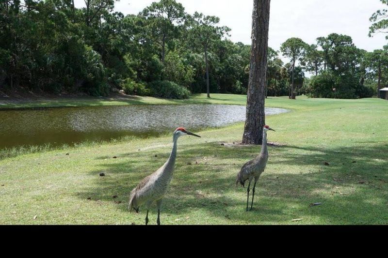 12 Orinco Road, Port Saint Lucie, FL 34952 Photo