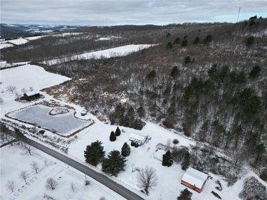 5565 Thomas Road, Woodhull, NY 14898