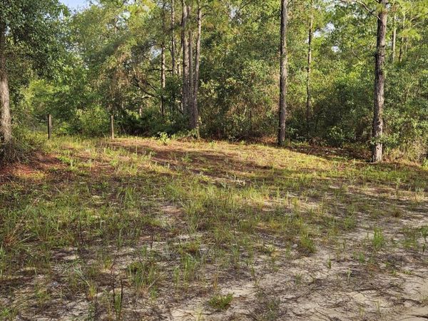 409 INCLINE Road, Satsuma, FL 32189