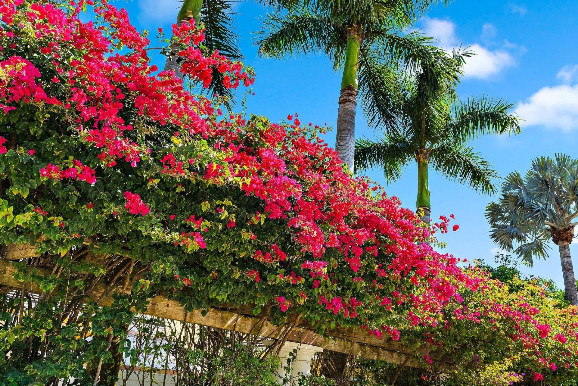 6196 NW Cullen Way, Port Saint Lucie, FL 34983 Photo