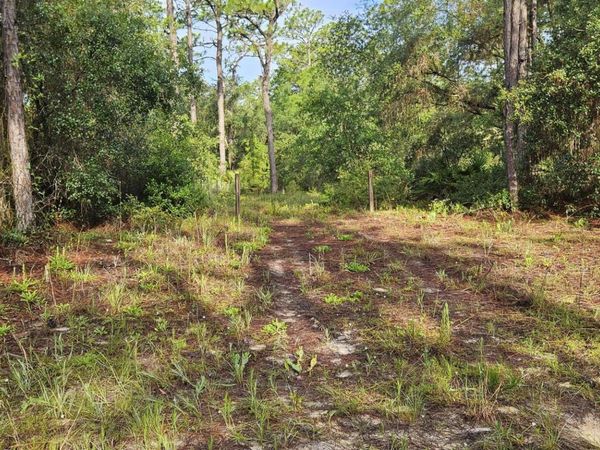 411 INCLINE Road, Satsuma, FL 32189