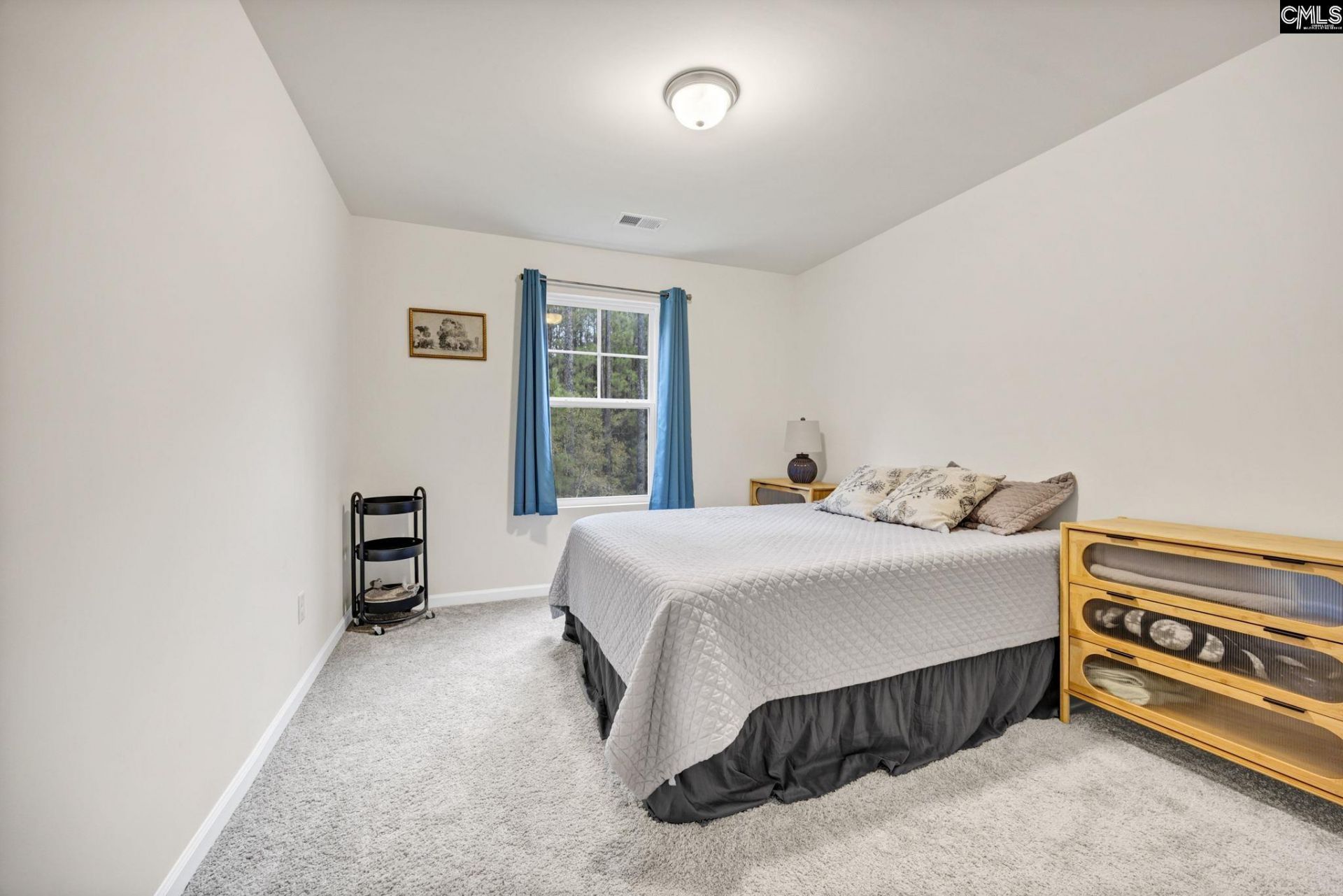 169 Carriagebrook Circle Photo 40