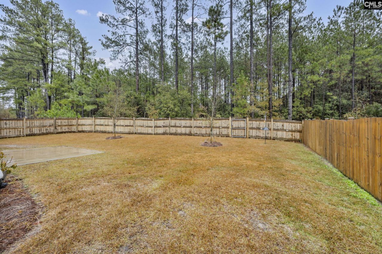 169 Carriagebrook Circle Photo 41